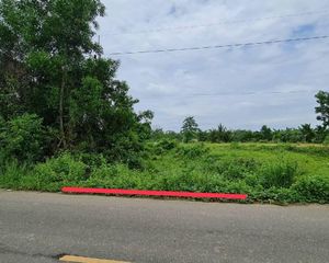 For Sale Land 208 sqm in Hat Yai, Songkhla, Thailand