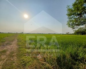 For Sale Land 19,992.4 sqm in Si Nakhon, Sukhothai, Thailand