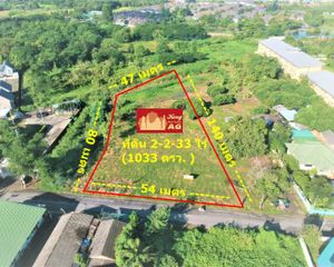 For Sale Land 4,132 sqm in San Sai, Chiang Mai, Thailand
