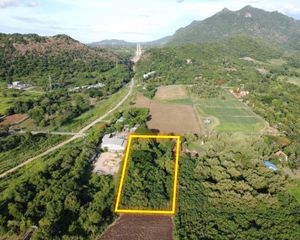 For Sale Land 8,000 sqm in Pak Chong, Nakhon Ratchasima, Thailand