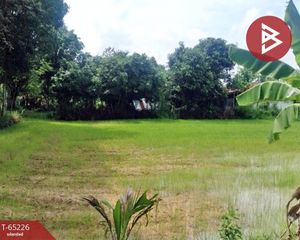 For Sale Land in Mueang Surin, Surin, Thailand