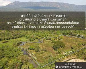 For Sale Land 20,000 sqm in Pak Phli, Nakhon Nayok, Thailand