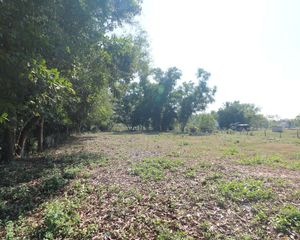 For Sale Land 3,704 sqm in Mueang Udon Thani, Udon Thani, Thailand