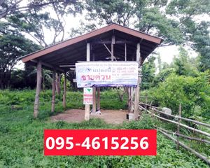 For Sale Land 3,244 sqm in Sop Prap, Lampang, Thailand