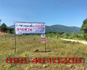 For Sale Land 2,944 sqm in Mueang Chiang Rai, Chiang Rai, Thailand