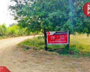 For Sale Land 38,488 sqm in Wichian Buri, Phetchabun, Thailand