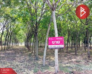 For Sale Land 21,200 sqm in Mueang Nongbua Lamphu, Nong Bua Lamphu, Thailand