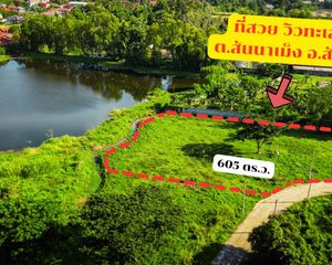 For Sale Land 2,420 sqm in San Sai, Chiang Mai, Thailand