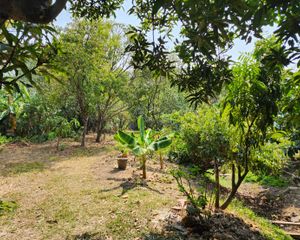 For Sale Land 2,848 sqm in Mueang Nonthaburi, Nonthaburi, Thailand