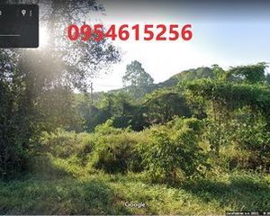 For Sale Land 1,600 sqm in Mueang Udon Thani, Udon Thani, Thailand