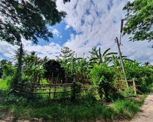 For Sale Land 2,752 sqm in Mueang Phayao, Phayao, Thailand