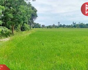 For Sale Land 41,051.6 sqm in Nong Chang, Uthai Thani, Thailand