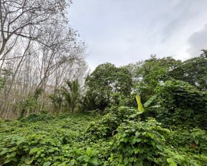 For Sale Land 2,636 sqm in Thai Mueang, Phang Nga, Thailand