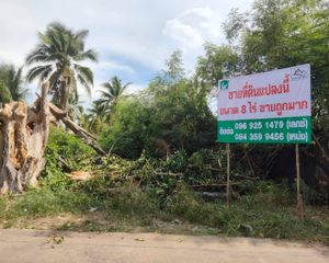 For Sale Land 12,800 sqm in Krathum Baen, Samut Sakhon, Thailand