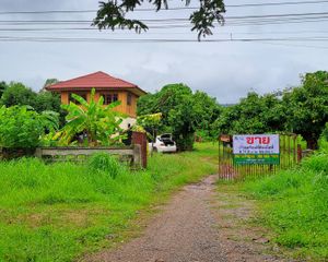 For Sale Land 10,220 sqm in Wang Thong, Phitsanulok, Thailand