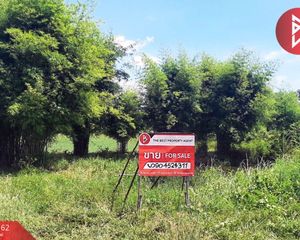 For Sale Land 26,032 sqm in Nong Mamong, Chainat, Thailand