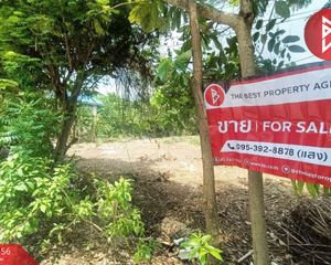 For Sale or Rent Land 2,508 sqm in Phra Pradaeng, Samut Prakan, Thailand