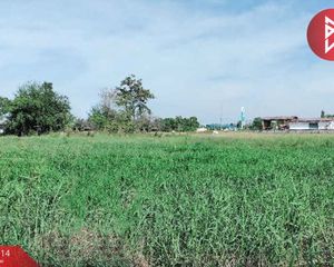 For Sale Land 1,352 sqm in Mueang Surin, Surin, Thailand