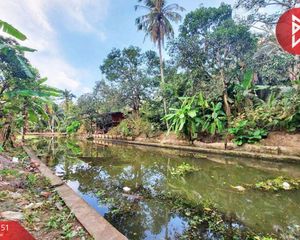 For Sale Land 3,200 sqm in Bang Khonthi, Samut Songkhram, Thailand
