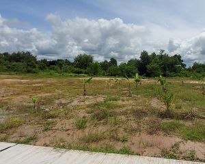 For Sale Land 400 sqm in Mueang Rayong, Rayong, Thailand