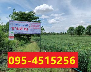 For Sale Land 9,600 sqm in Phatthana Nikhom, Lopburi, Thailand