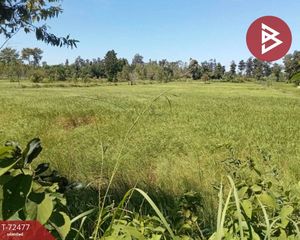 For Sale Land 24,384 sqm in Mueang Amnat Charoen, Amnat Charoen, Thailand