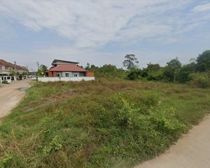 For Sale Land 1,008 sqm in Phanom Sarakham, Chachoengsao, Thailand
