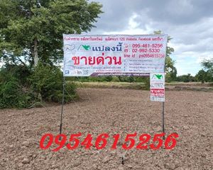 For Sale Land 11,917.2 sqm in Chatturat, Chaiyaphum, Thailand