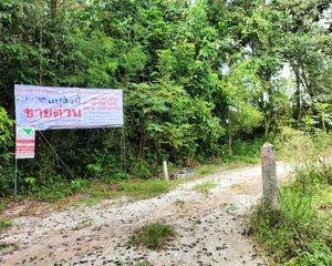 For Sale Land 6,303.6 sqm in Mueang Rayong, Rayong, Thailand