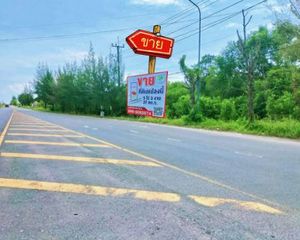 For Sale Land 9,348 sqm in Pak Phanang, Nakhon Si Thammarat, Thailand