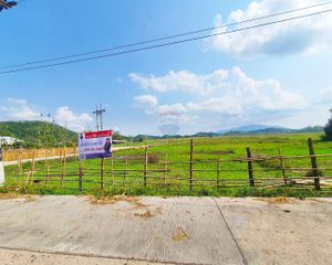 For Sale Land 9,040 sqm in Mueang Chiang Rai, Chiang Rai, Thailand