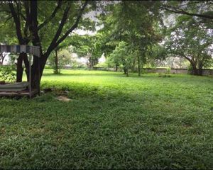 For Sale Land 6,688 sqm in Mueang Chiang Mai, Chiang Mai, Thailand