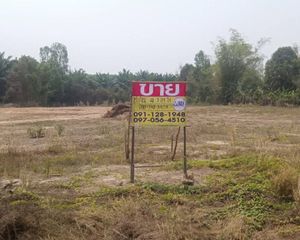 For Sale Land 6,836 sqm in Bueng Khong Long, Bueng Kan, Thailand