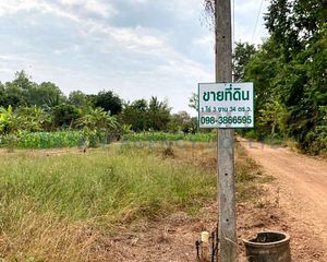 For Sale Land 2,936 sqm in Sam Ngam, Phichit, Thailand