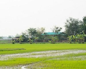 For Sale Land 27,464 sqm in Mueang Sing Buri, Sing Buri, Thailand