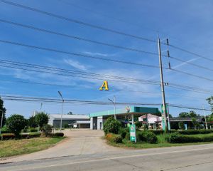 For Sale Land 36,400 sqm in Mueang Chai Nat, Chainat, Thailand