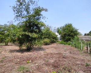 For Sale Land 7,392 sqm in Mueang Pathum Thani, Pathum Thani, Thailand