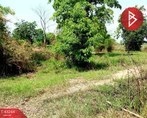 For Sale Land 73,770 sqm in Wanon Niwat, Sakon Nakhon, Thailand
