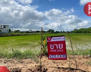 For Sale Land 14,212 sqm in Mueang Phichit, Phichit, Thailand