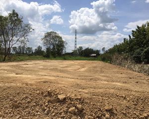 For Sale Land 2,008 sqm in Mueang Lamphun, Lamphun, Thailand