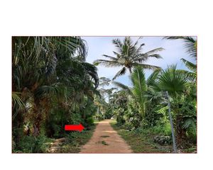 For Sale or Rent Land in Ko Samui, Surat Thani, Thailand