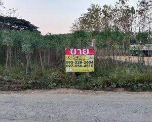 For Sale Land 1,252 sqm in Sung Men, Phrae, Thailand
