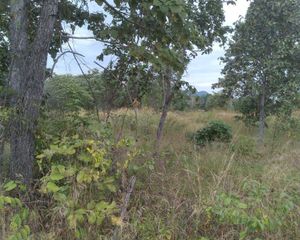 For Sale Land 34,144 sqm in Mueang Tak, Tak, Thailand