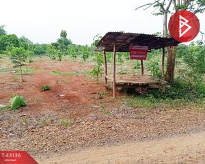 For Sale Land 4,880 sqm in Nong Muang, Lopburi, Thailand