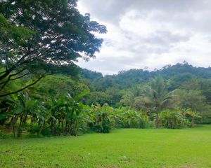 For Sale Land 2,856 sqm in Mae Taeng, Chiang Mai, Thailand