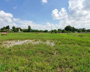For Sale Land 6,000 sqm in Mueang Surin, Surin, Thailand