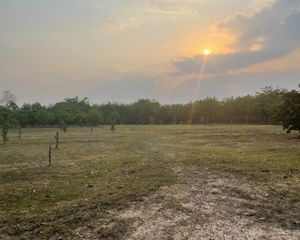 For Sale Land 1,176,932 sqm in Hang Chat, Lampang, Thailand