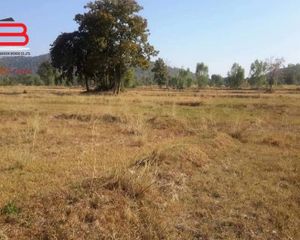 For Sale Land 44,196 sqm in Tap Khlo, Phichit, Thailand