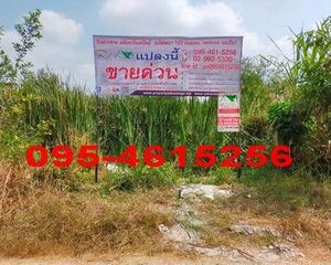 For Sale Land 400 sqm in Wang Noi, Phra Nakhon Si Ayutthaya, Thailand