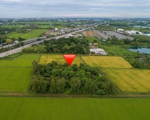 For Sale Land 9,600 sqm in Sam Khok, Pathum Thani, Thailand